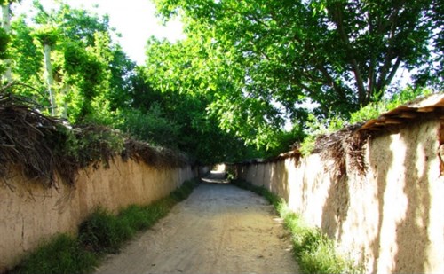 کد ملک 5567