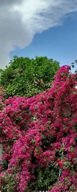 کد ملک 6056