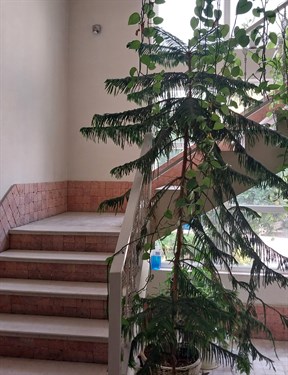 کد ملک 5510