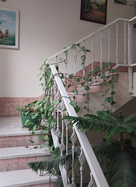 کد ملک 5510