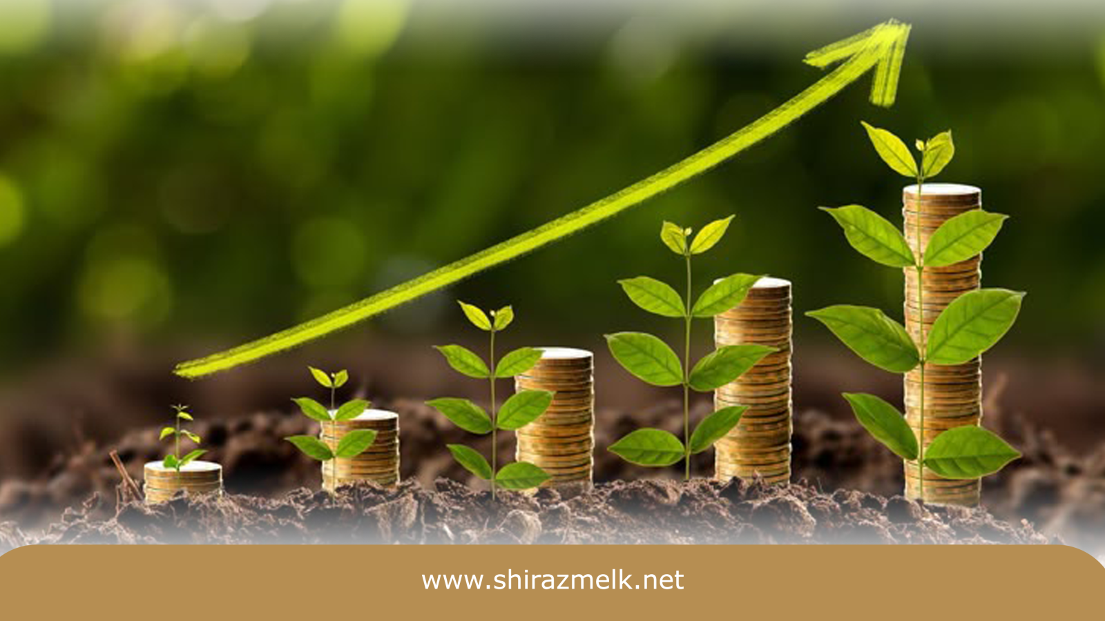  راهنمای تشخیص زمین‌هایی که ارزش خرید ندارند